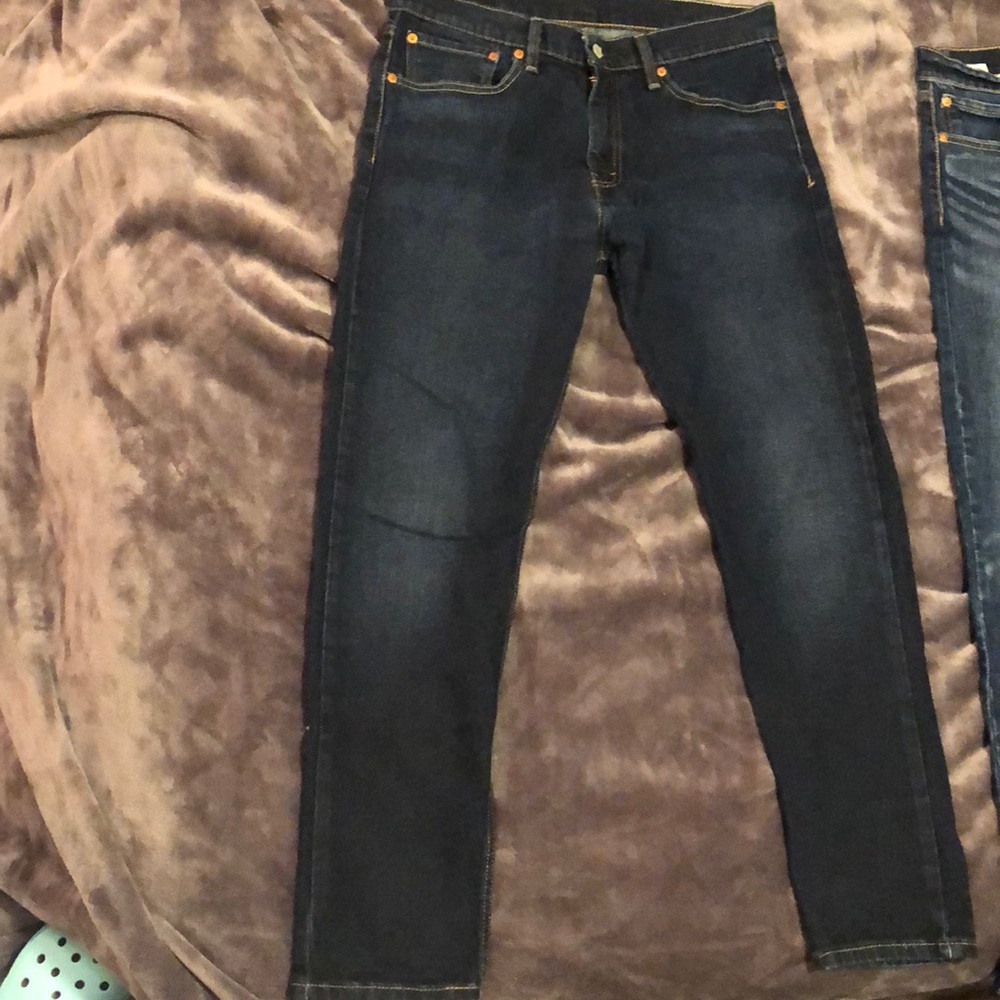 Levi